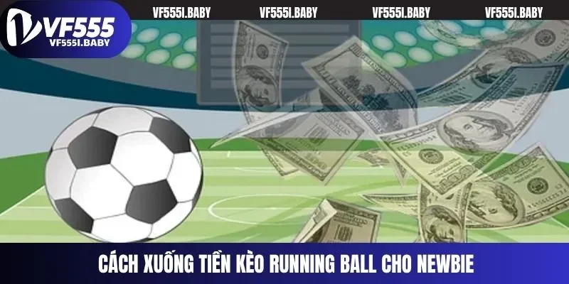 Cách xuống tiền kèo running ball cho newbie