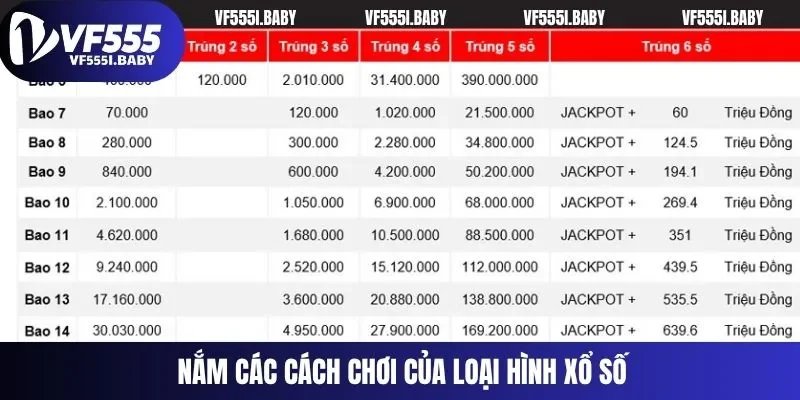 Nắm các cách chơi của loại hình xổ số