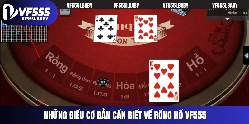 Những điều cơ bản cần biết về Rồng Hổ VF555